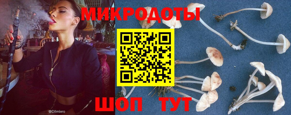 Псилоцибиновые грибы ЛСД Саянск