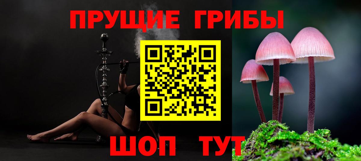 Галлюциногенные грибы Psilocybine cubensis  Вход с VPN  Саянск  Псилоцибиновые грибы Cubensis 
